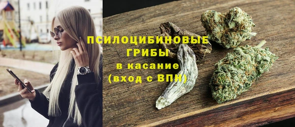 соль ск Верея