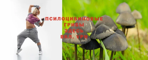 эйфоретик Володарск