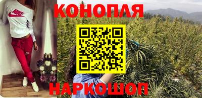 прущие грибы Дубна