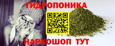 винт Донецк