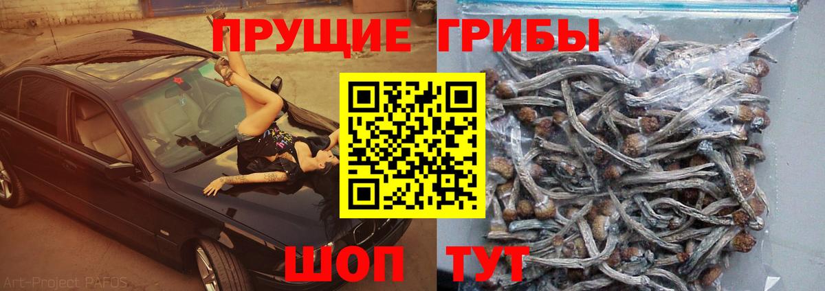 Галлюциногенные грибы MAGIC MUSHROOMS  Вход с VPN  Выборг 