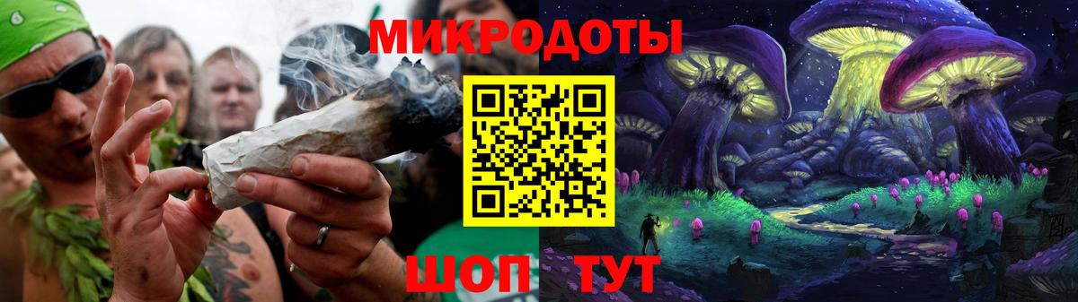 Псилоцибиновые грибы Psilocybe Выборг